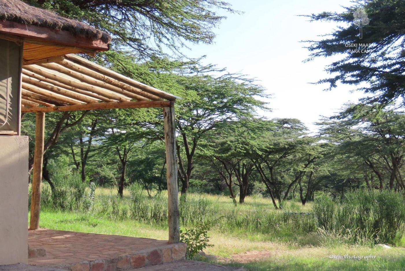Oseki Maasai Mara Camp Hotel Narok Eksteriør billede